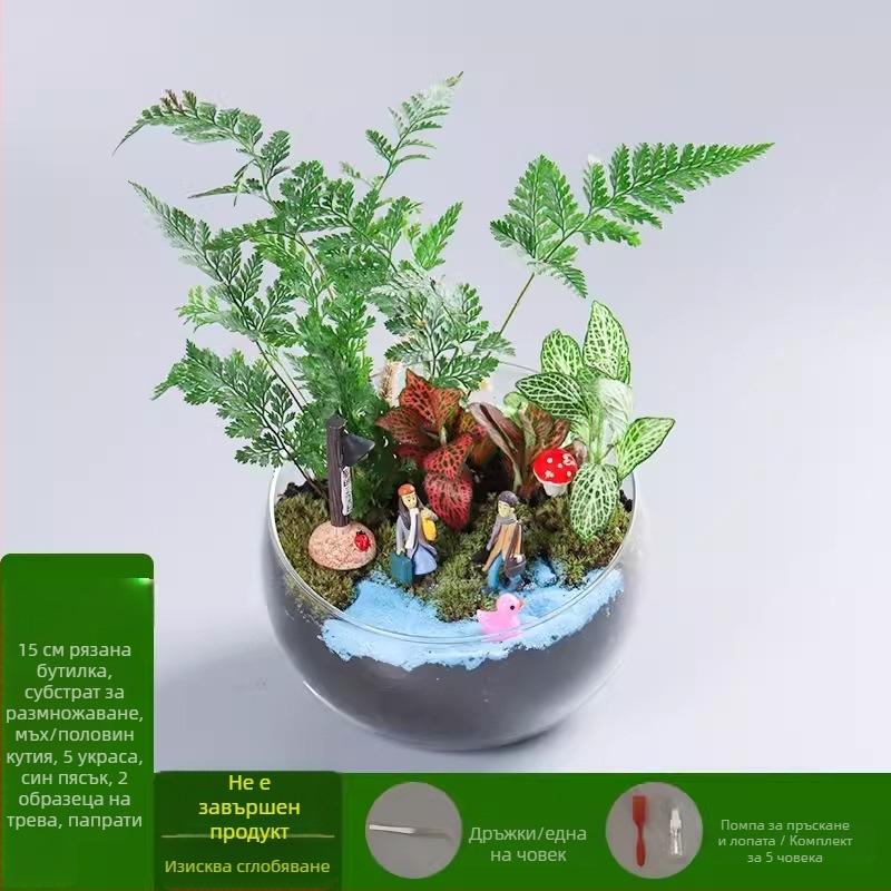 DIY комплект за мини ландшафт с мъх и сукуленти — стъклена топка от високо боросиликатно стъкло, марка Xuanyi, картонна опаковка, експозиционен монтаж, не е внесено