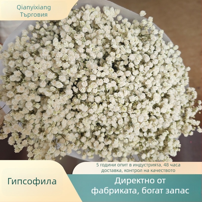 Букет сушени цветя Звездно небе, запазени цветя, тегло 400–500 г, марка Qian yixiang