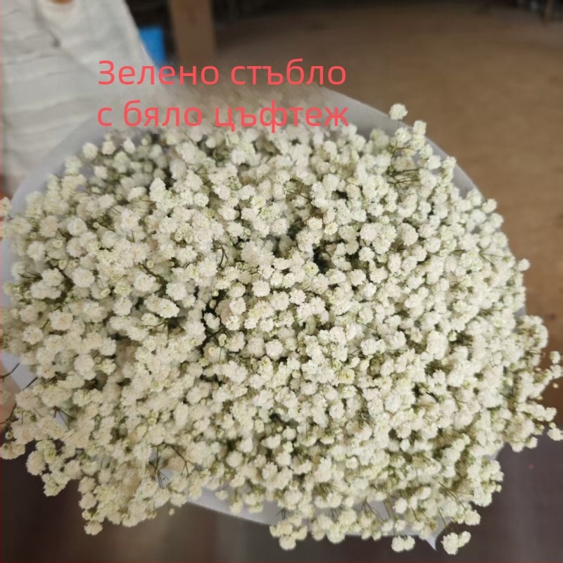 Букет сушени цветя Звездно небе, запазени цветя, тегло 400–500 г, марка Qian yixiang