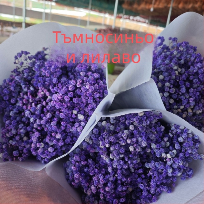 Букет сушени цветя Звездно небе, запазени цветя, тегло 400–500 г, марка Qian yixiang