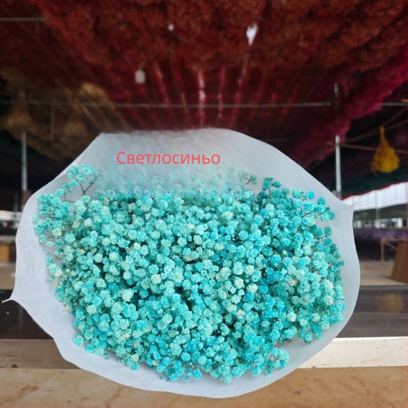 Букет сушени цветя Звездно небе, запазени цветя, тегло 400–500 г, марка Qian yixiang