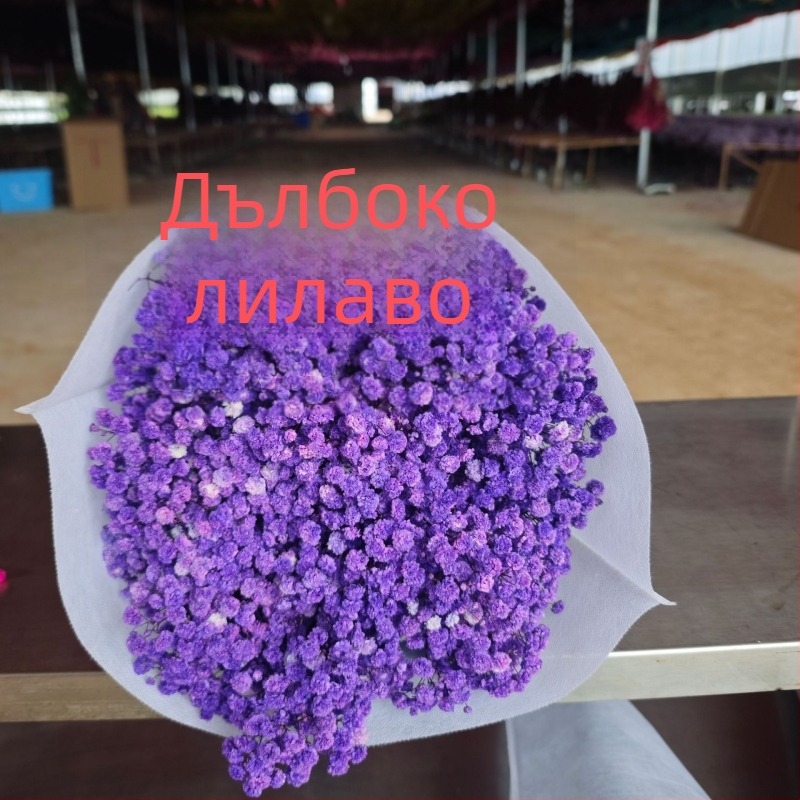 Букет сушени цветя Звездно небе, запазени цветя, тегло 400–500 г, марка Qian yixiang