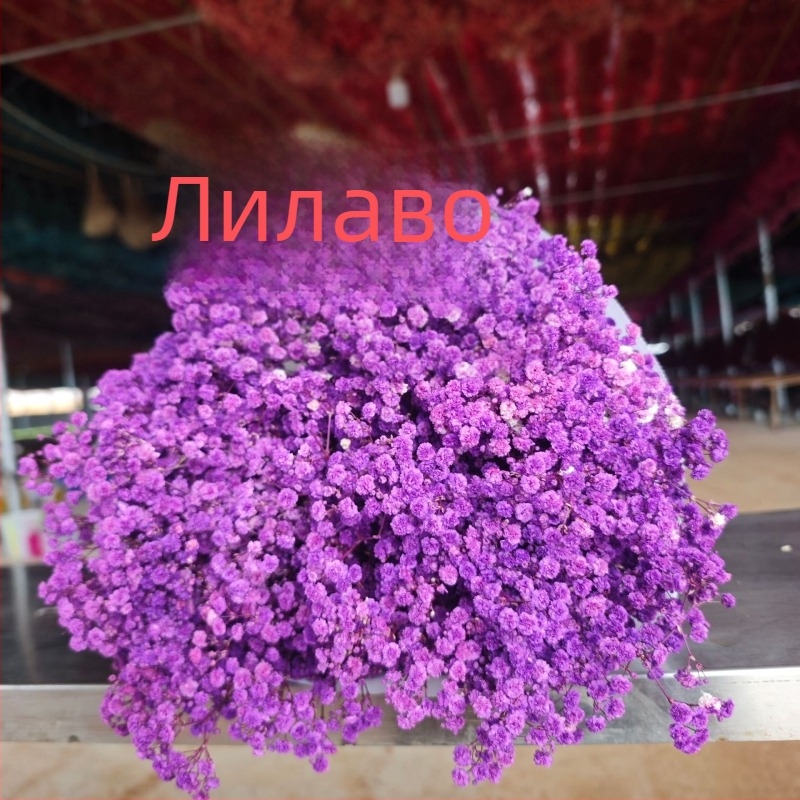 Букет сушени цветя Звездно небе, запазени цветя, тегло 400–500 г, марка Qian yixiang