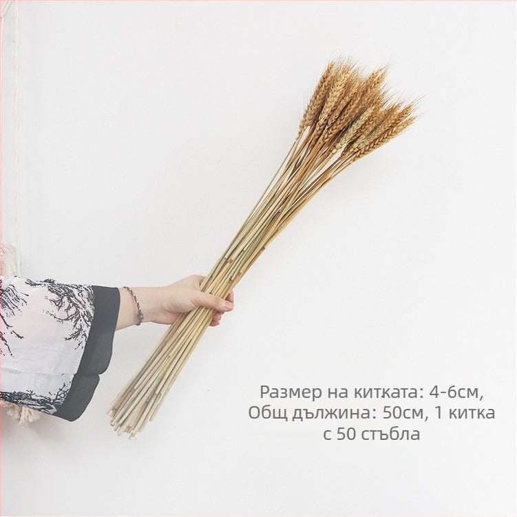 Букет от сухи цветя, стил Wabi-Sabi, сорт Forget-me-not, не боядисани, опаковани в Opp пакет