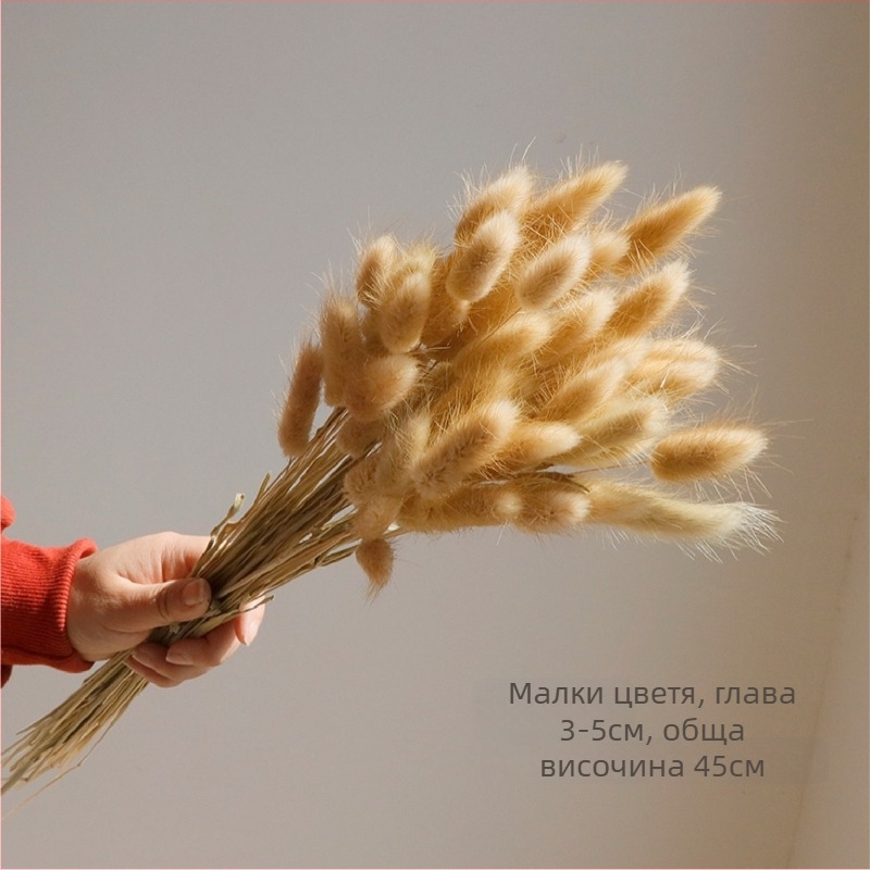 Букет от сухи цветя, стил Wabi-Sabi, сорт Forget-me-not, не боядисани, опаковани в Opp пакет