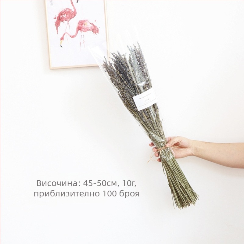 Букет от сухи цветя, стил Wabi-Sabi, сорт Forget-me-not, не боядисани, опаковани в Opp пакет