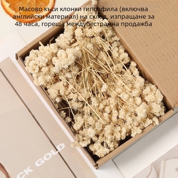 Гипсофила – сушени цветя Starry Sky, боядисани, DIY комплект за букет в кутия