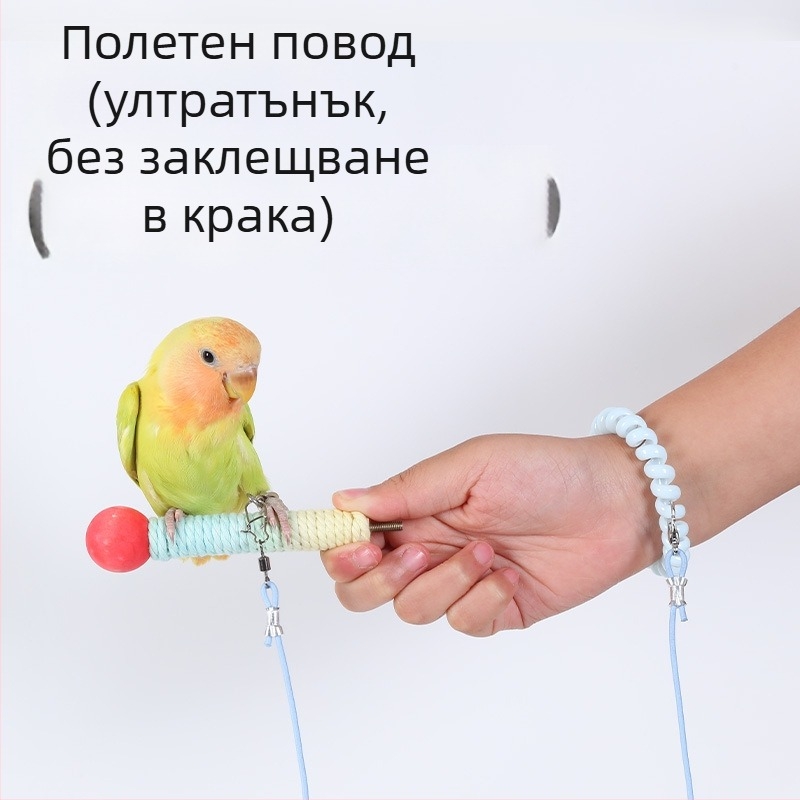Папагал ултралек обучителен въже за полет от еластичен шнур, комплект крачен пръстен, крачна верига и комплект за шия