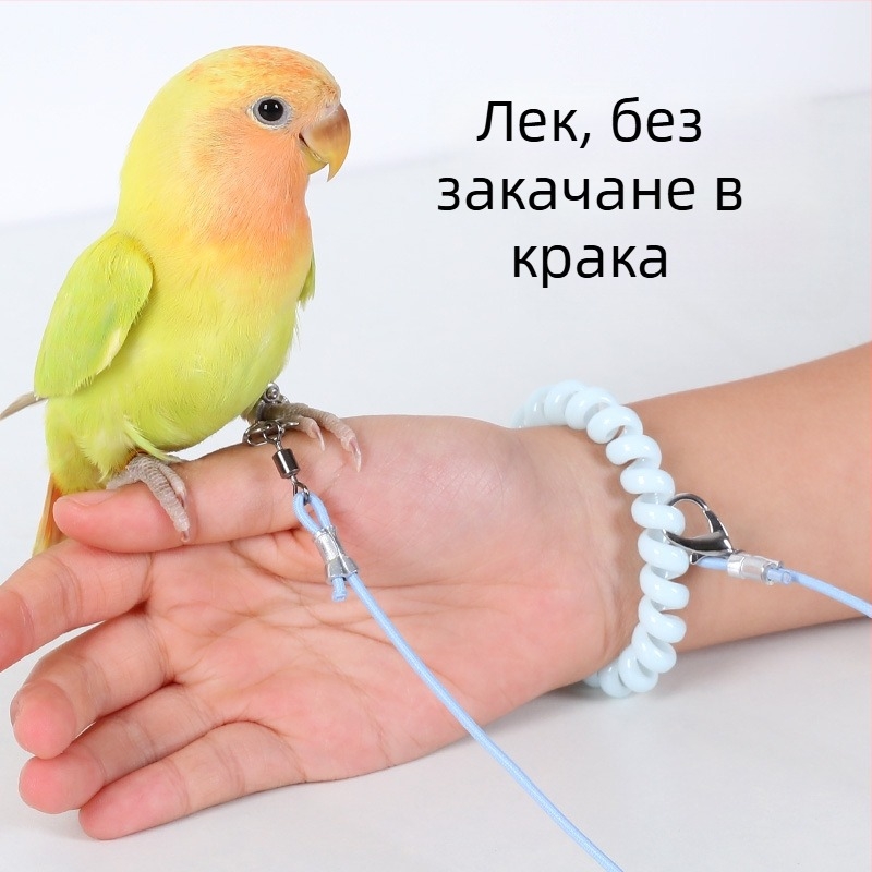 Папагал ултралек обучителен въже за полет от еластичен шнур, комплект крачен пръстен, крачна верига и комплект за шия