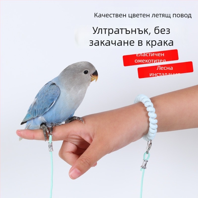 Папагал ултралек обучителен въже за полет от еластичен шнур, комплект крачен пръстен, крачна верига и комплект за шия