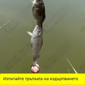 Air Force Star Комплект за начинаещи в риболова с финно-мрежесто хранилко и комплект куки на въже; SKU Pfujvz3nAMP+RAarJgjBw8e9c3s; Експорт за трансгранична търговия: Да; Основен пазар: Югоизточна Азия