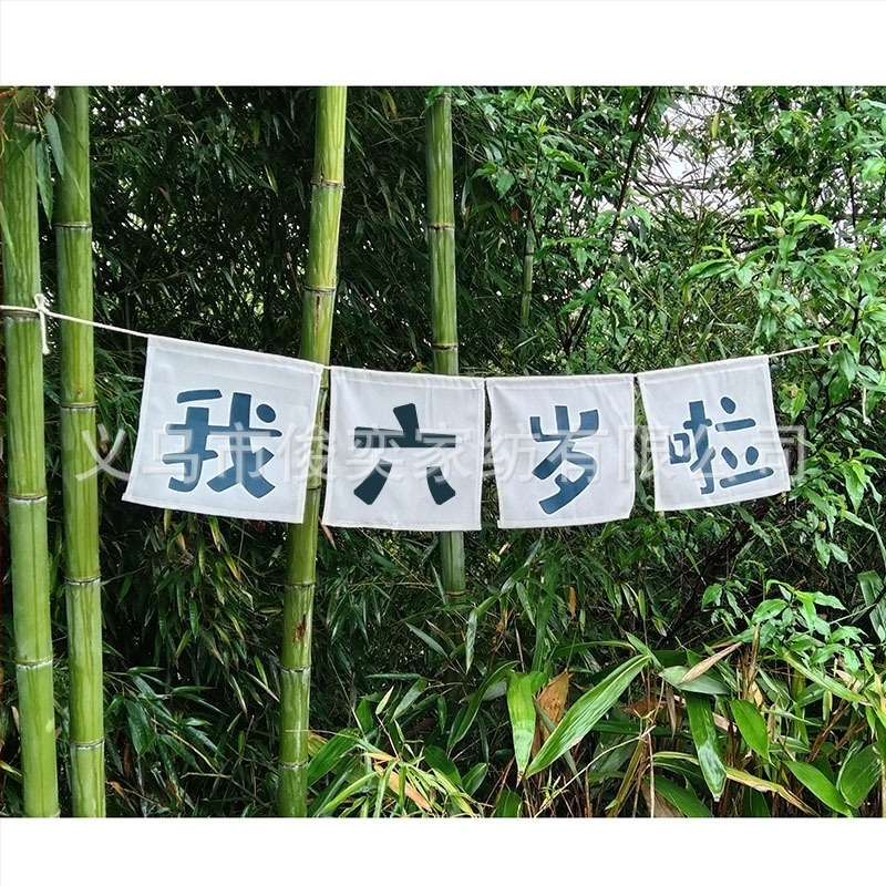 Детски фотопроп банер за първата годинка, ръчно държан флаг за снимане, квадратен полиестер, стил: детски анимационен, дигитален термопренасяне