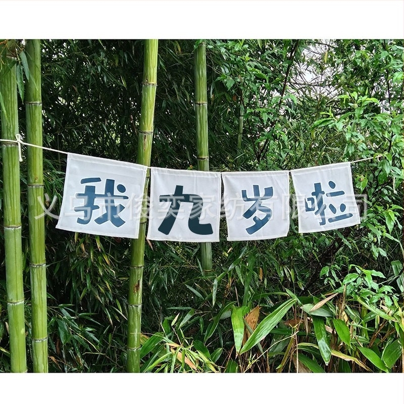 Детски фотопроп банер за първата годинка, ръчно държан флаг за снимане, квадратен полиестер, стил: детски анимационен, дигитален термопренасяне