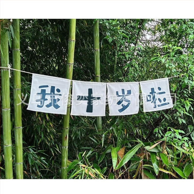 Детски фотопроп банер за първата годинка, ръчно държан флаг за снимане, квадратен полиестер, стил: детски анимационен, дигитален термопренасяне