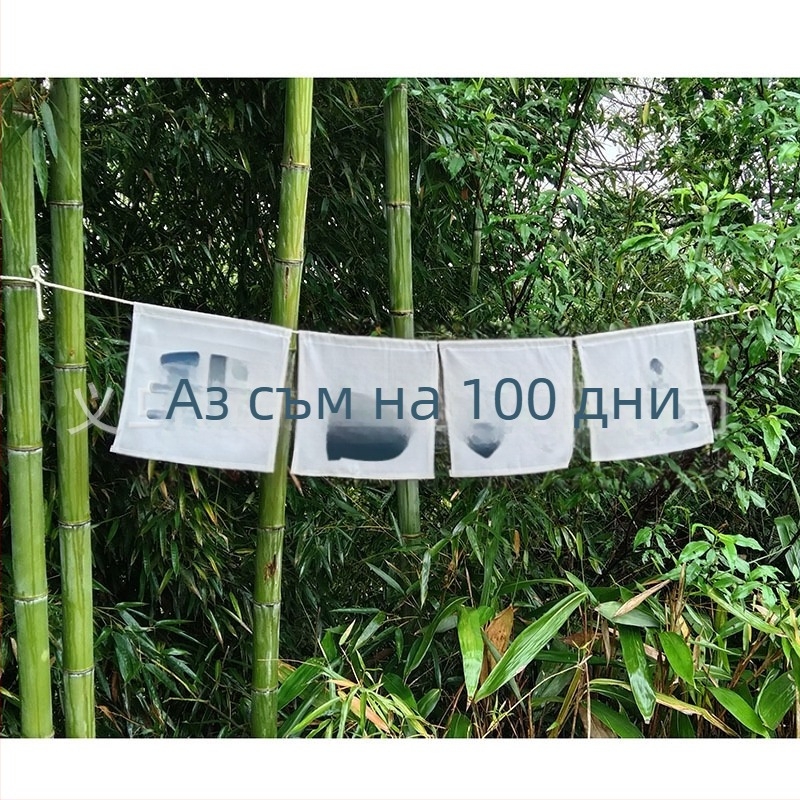 Детски фотопроп банер за първата годинка, ръчно държан флаг за снимане, квадратен полиестер, стил: детски анимационен, дигитален термопренасяне