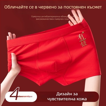 Мъжки памучни боксерки, средна талия, едноцветни, дишащи и антибактериални, 95–100% памук