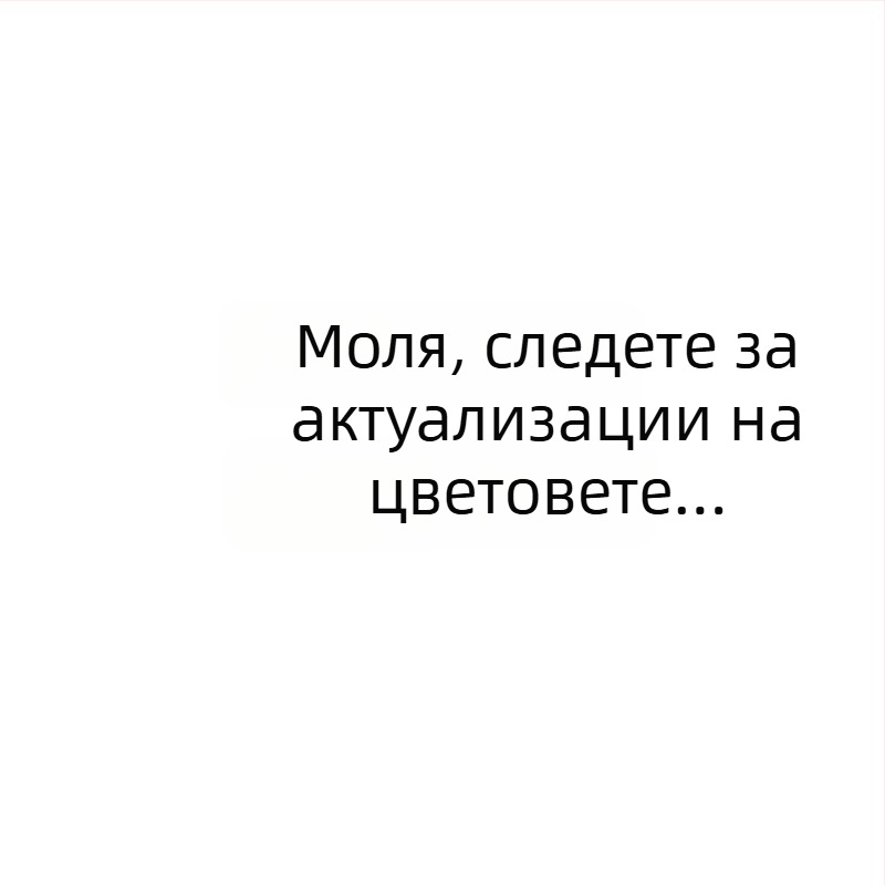 Мъжки бельо в японски стил, секси, с U-образна джобна част и дишаща дантела, жакардова тъкан; основна материя: найлон; подплата: памук; талия: средна; съдържание на основната материя: 50–70%