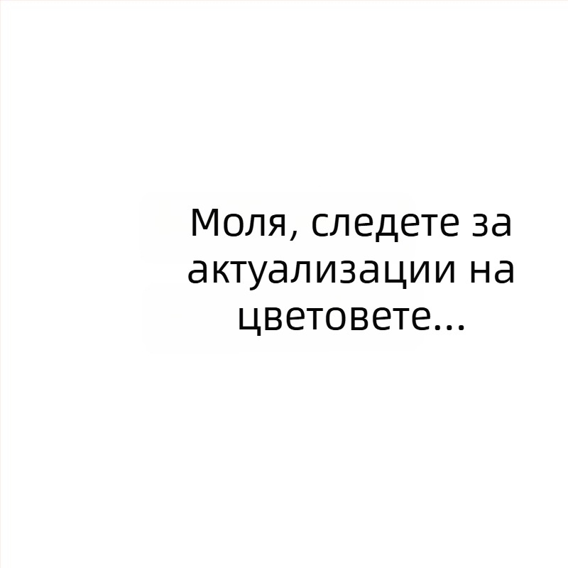 Мъжки бельо в японски стил, секси, с U-образна джобна част и дишаща дантела, жакардова тъкан; основна материя: найлон; подплата: памук; талия: средна; съдържание на основната материя: 50–70%