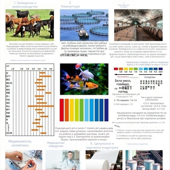 Пен-тип водоустойчив тестер за pH/ORP и температура, Ph-099 с LCD дисплей, композитен електрод, обхват pH 0.00–14.00, ORP -1999 до 1999 mV, 0–50°C