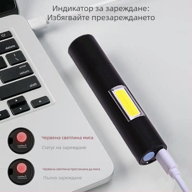 Wood's Lamp 365nm UV ръчен LED светлинен инструмент за детекция и оценка на артефакти, презареждащ се, 5W, алуминиев корпус, 1000mAh батерия, зарядно включено