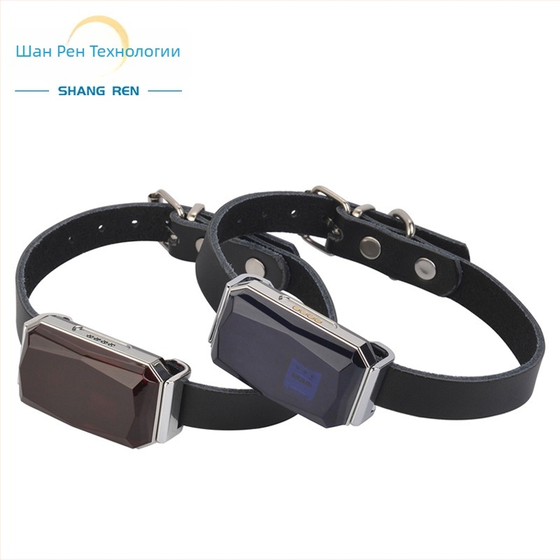 G12 локатор за нашийник – смарт GPS тракер за домашни любимци, водоустойчив, антиизгубване и антикрадба, позициониране GPS+Wi‑Fi+AGPS+Beidou, батерия до 240 ч, USB зареждане