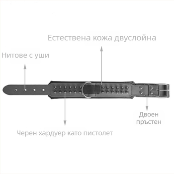Нашийник за кучета от естествена кожа с шипове и нитове, подплатен против ухапване