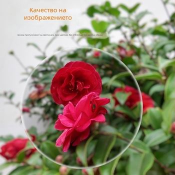 DJI Osmo Pocket 3 леща с 2x увеличение за фоново замъгляване, широкоъгълна макро кинообектива, 30 мм фокусно разстояние.