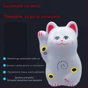 Индукционен звънец за врата с инфрачервена аларма и запис; модел 024; двойно захранване (батерия и захранване); 4.5V; персонализиран тон