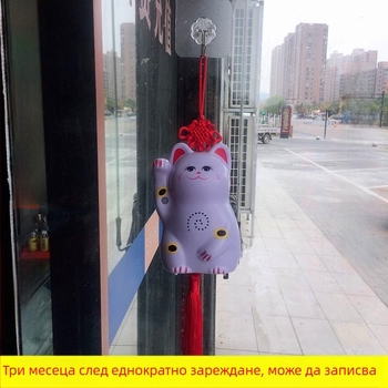 Индукционен звънец за врата с инфрачервена аларма и запис; модел 024; двойно захранване (батерия и захранване); 4.5V; персонализиран тон