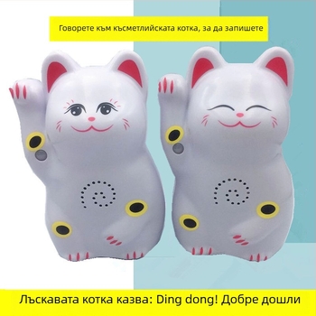 Индукционен звънец за врата с инфрачервена аларма и запис; модел 024; двойно захранване (батерия и захранване); 4.5V; персонализиран тон