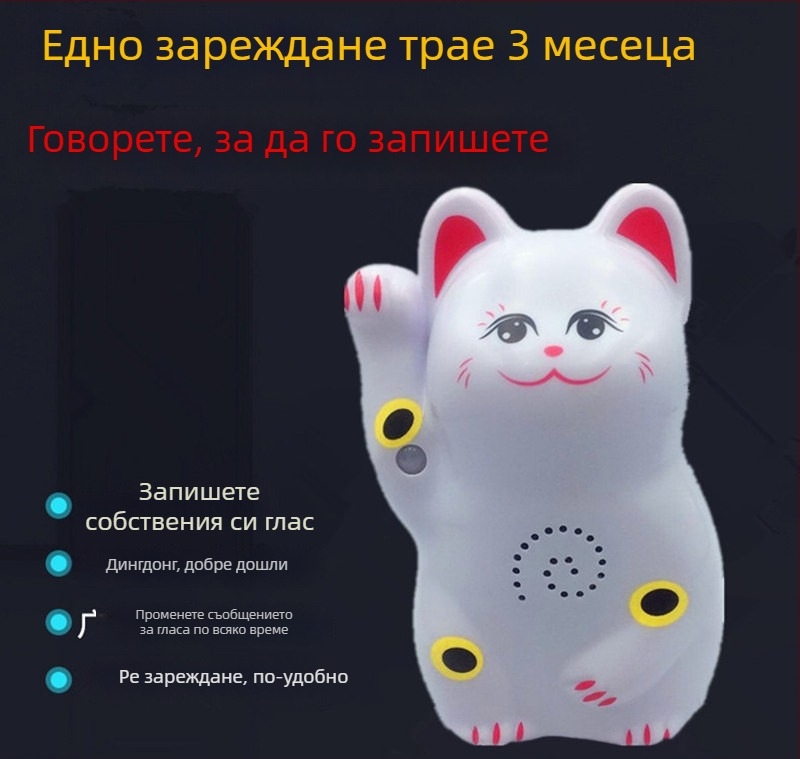 Индукционен звънец за врата с инфрачервена аларма и запис; модел 024; двойно захранване (батерия и захранване); 4.5V; персонализиран тон