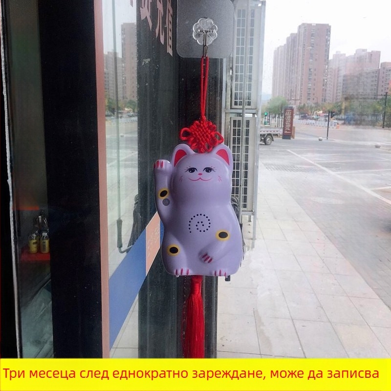 Индукционен звънец за врата с инфрачервена аларма и запис; модел 024; двойно захранване (батерия и захранване); 4.5V; персонализиран тон