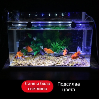 Аквариумна LED лампа, стъклено тяло, 3W, 100 г, Morning Field, осветление