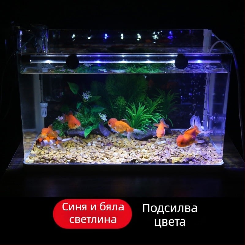 Аквариумна LED лампа, стъклено тяло, 3W, 100 г, Morning Field, осветление