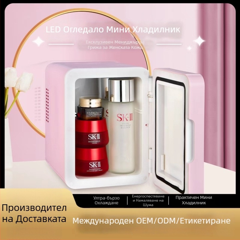 Портативен мини хладилник за топло и студено, 6–10 л, ABS, 12V/220V, 30–42W