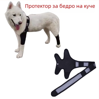 Защитен протектор за кучешки крак при фрактура – предни и задни крака