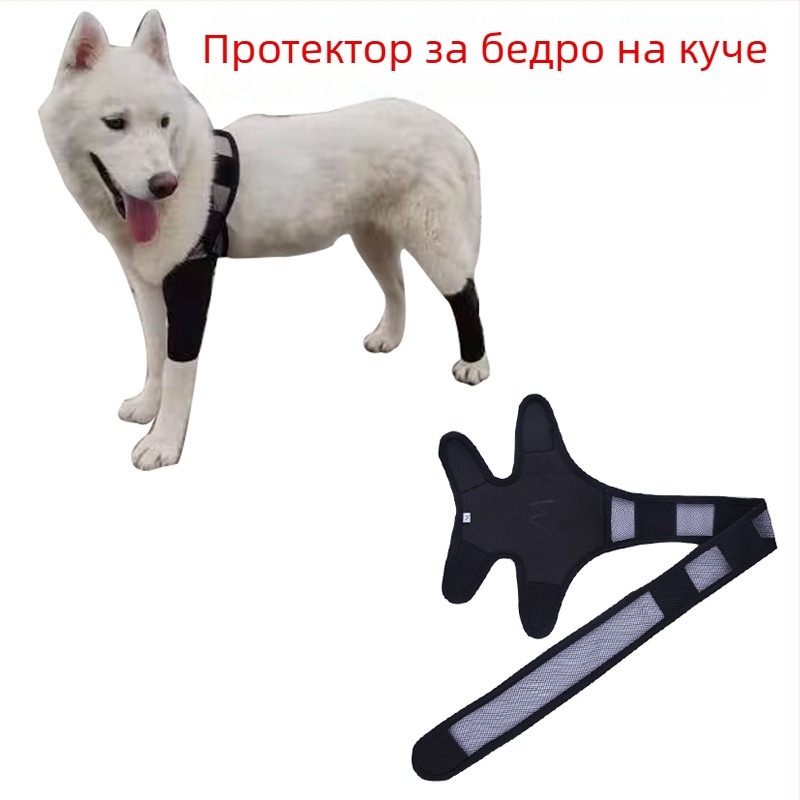 Защитен протектор за кучешки крак при фрактура – предни и задни крака
