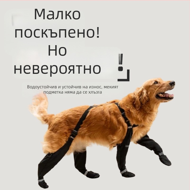 Обувки за кучета с меки подметки и регулируема каишка; подходящи за малки, средни и големи породи, дишащи и водоустойчиви ботуши за външна употреба.