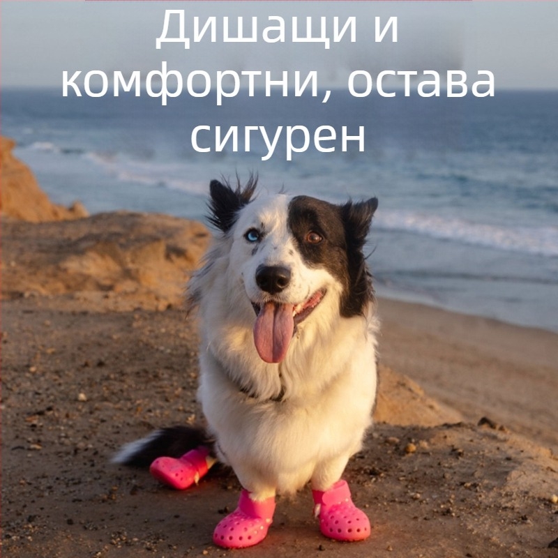 Кучешки гумени обувки за дъжд — водоустойчиви, противохлъзгащи, износоустойчиви, декоративни.