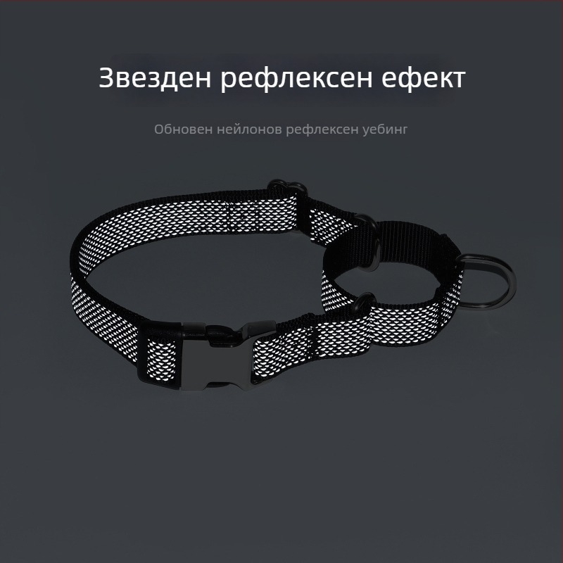 Нейлонова кучешка Martingale каишка със звезден рефлектор и гравирано име