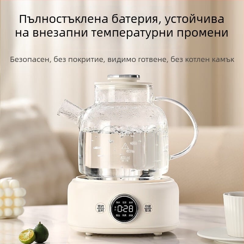Чайник с корпус от високо боросиликатно стъкло, модел D11, капацитет до 1 л, 220 V, 400–500 W, управление чрез микрокомпютър
