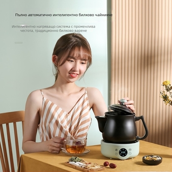 GXDG-20 Електрически декокционен котел за китайска медицина с корпус от пурпурна пясъчна глина и керамична облицовка, 800W, 220V