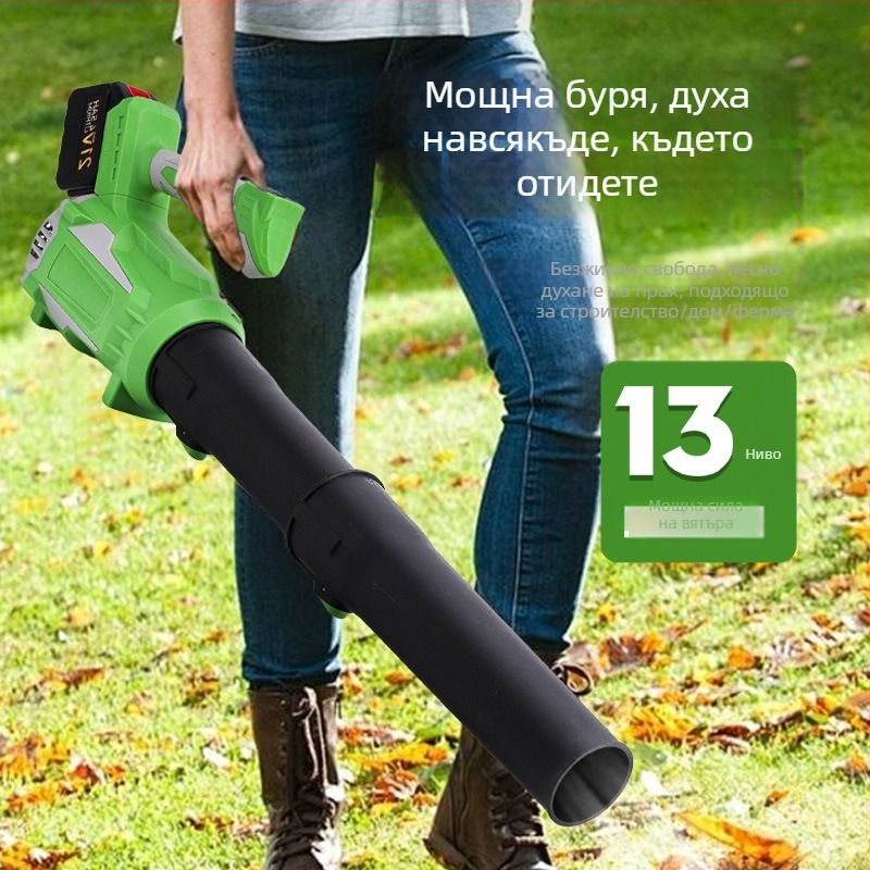 Пистолет за духане на прах, безчетков мотор, 21V презареждаема литиева батерия, индустриална висока мощност