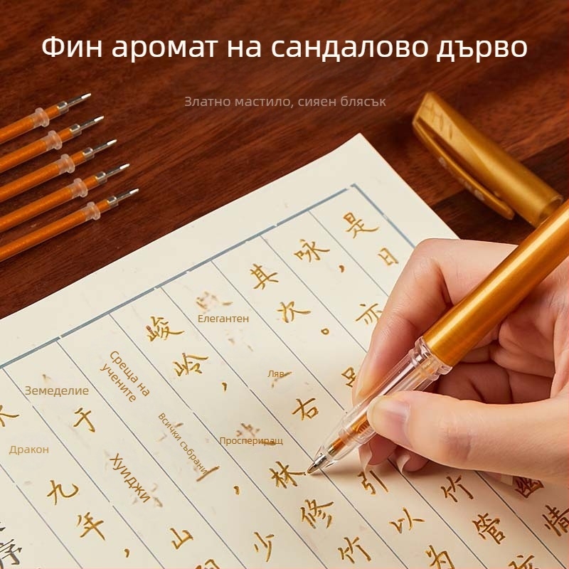Златна писалка за практика на писане с резервно перо за калиграфия и преписване