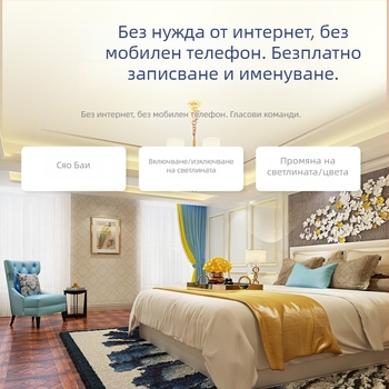 Ключ за гласово управление, без мрежа, AC220V, CE, панел PE, електрически живот 2 000 000 цикъла