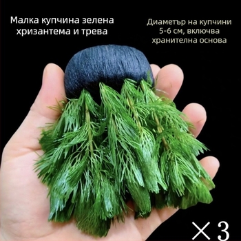 Shadow Creek Комплект за аквариумно оформление на Betta с кислородиращи сферични водни растения, без пясък на дъното, за пречистване на водата