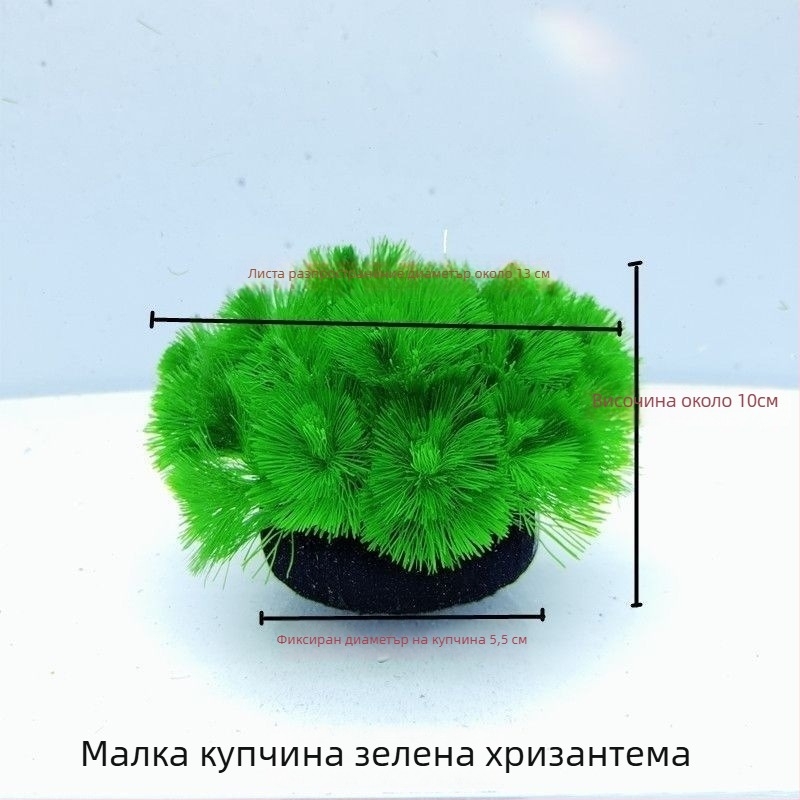 Shadow Creek Комплект за аквариумно оформление на Betta с кислородиращи сферични водни растения, без пясък на дъното, за пречистване на водата