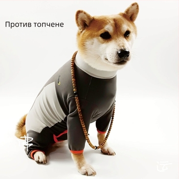 Beow долна риза за кучета | Полиестер, Ежедневен стил, Beow, Облекло за домашни любимци