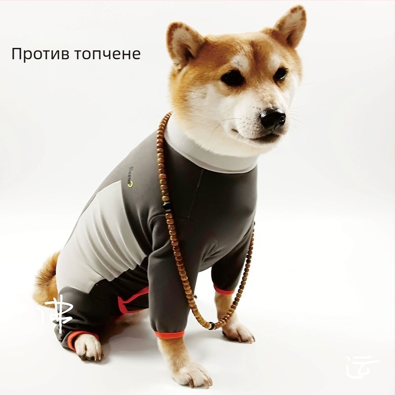 Beow долна риза за кучета | Полиестер, Ежедневен стил, Beow, Облекло за домашни любимци