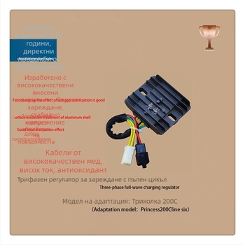 Регулатор на напрежение за 12V, 500W – Модел 200, Excellence